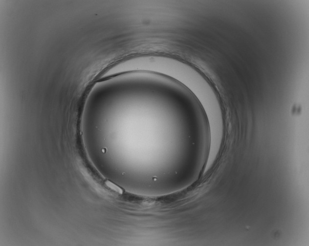 X0000112410493200908211126