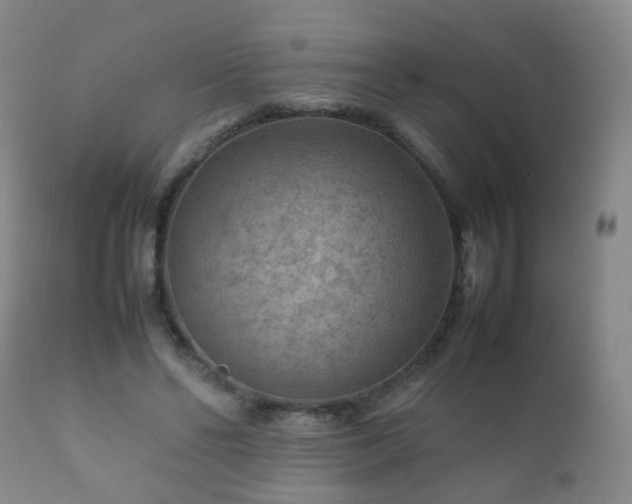 X0000112410494200908211126