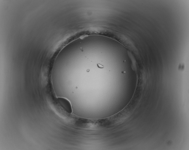 X0000112410496200908211125