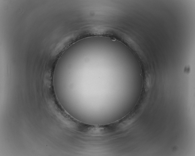 X0000112410497200908211125