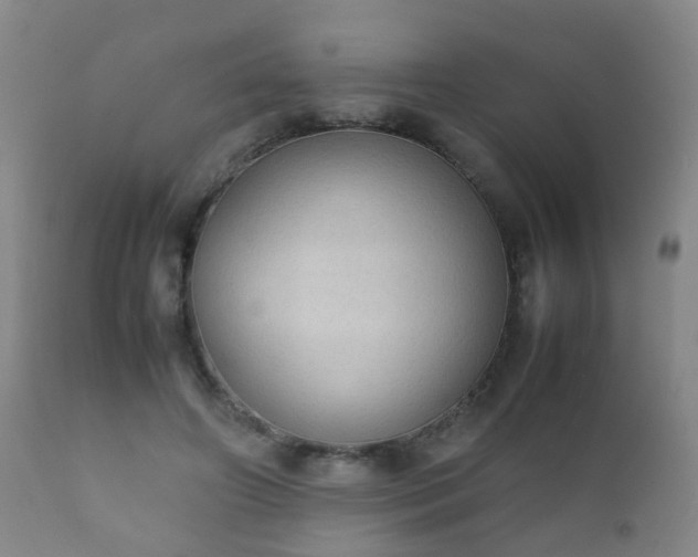 X0000112410498200908211125