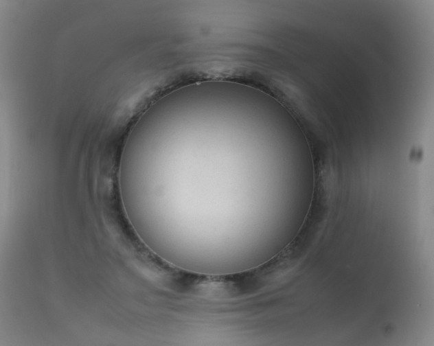 X0000112410499200908211125