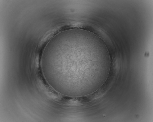 X0000112410502200908211125