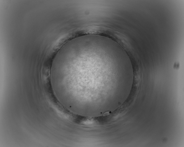 X0000112410503200908211125