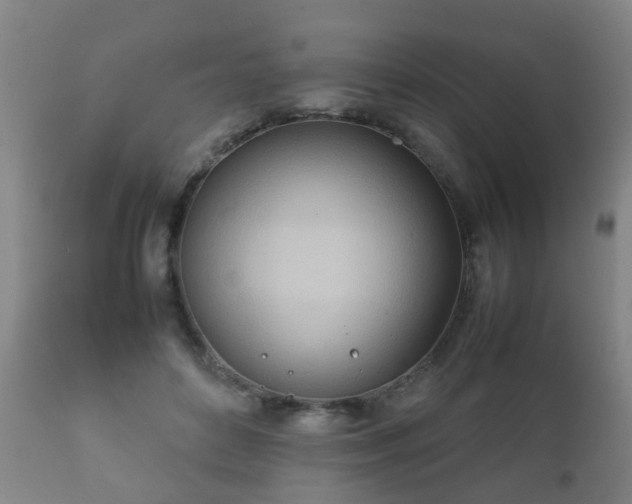 X0000112410504200908211125