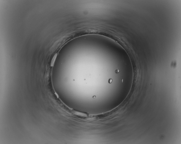 X0000112410505200908211125