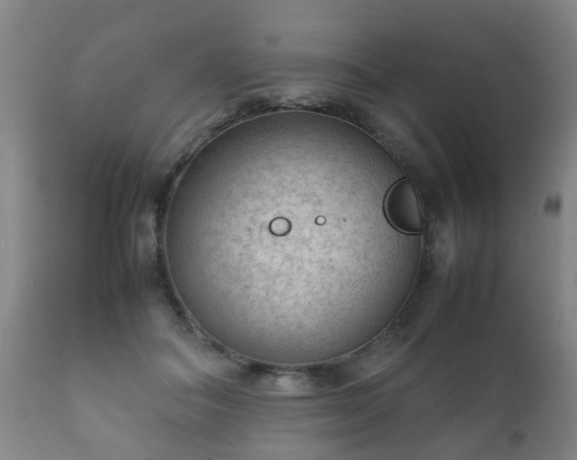 X0000112410506200908211125