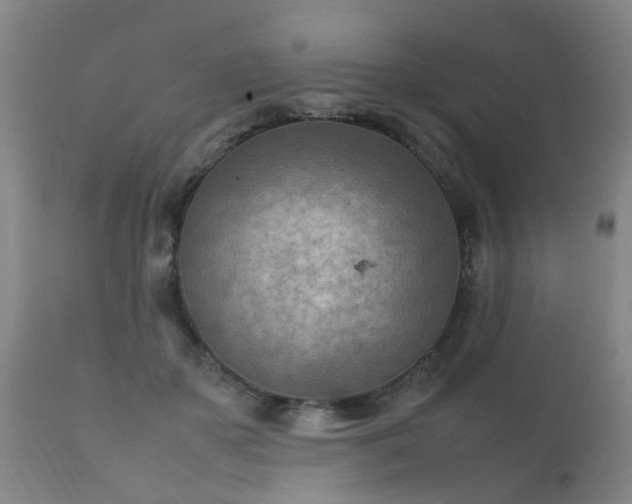 X0000112410507200908211125