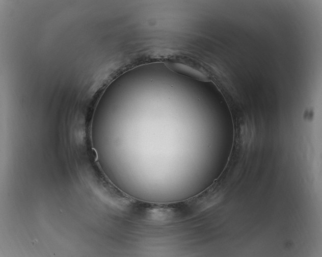 X0000112410508200908211125