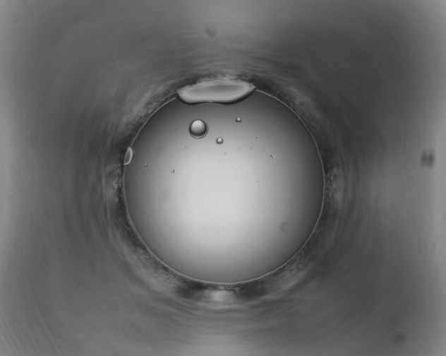 X0000112410509200908211125