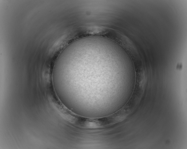 X0000112410510200908211125