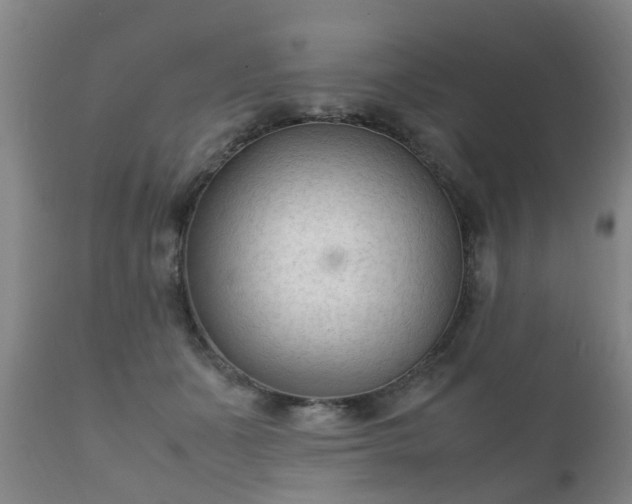 X0000112410511200908211125