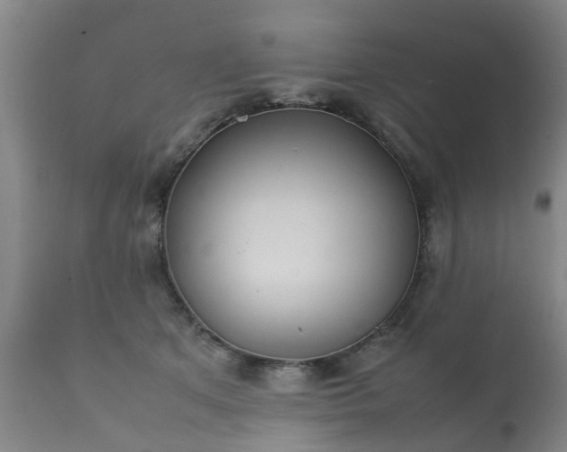 X0000112410513200908211125
