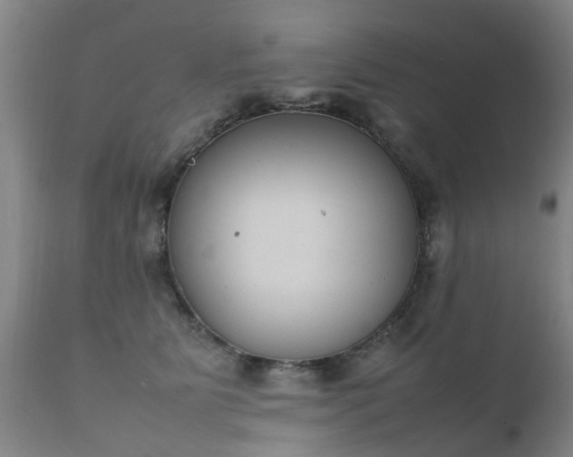 X0000112410515200908211125