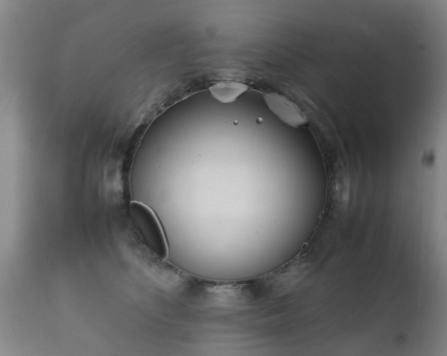X0000112410516200908211125