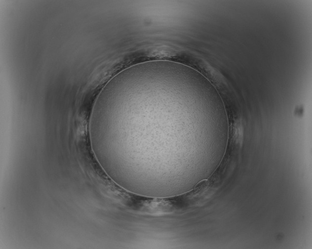 X0000112410517200908211125