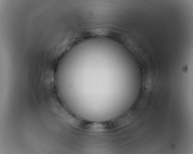 X0000112410518200908211125
