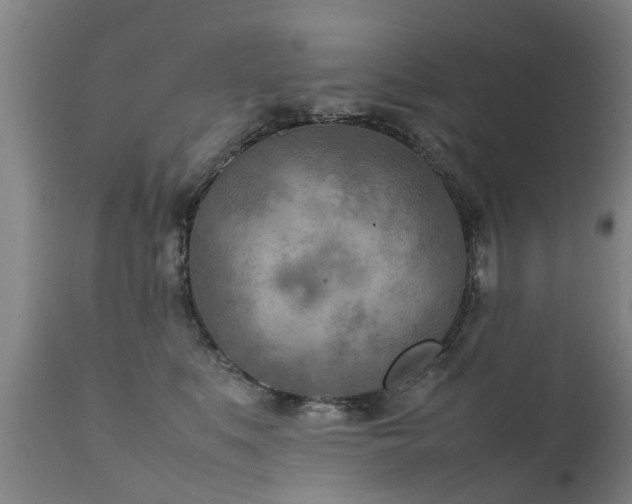 X0000112410519200908211125