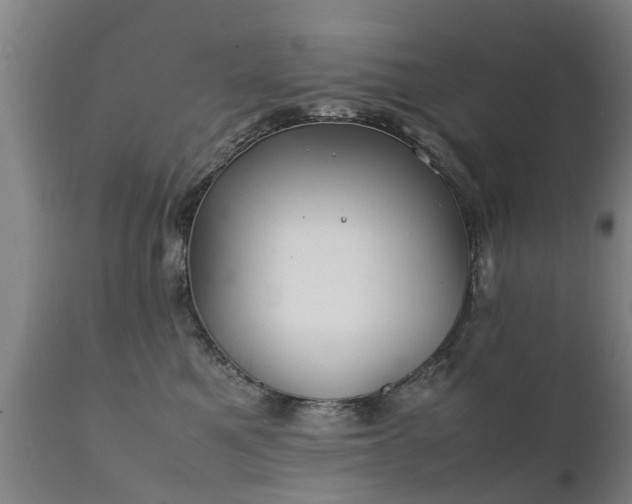 X0000112410521200908211125
