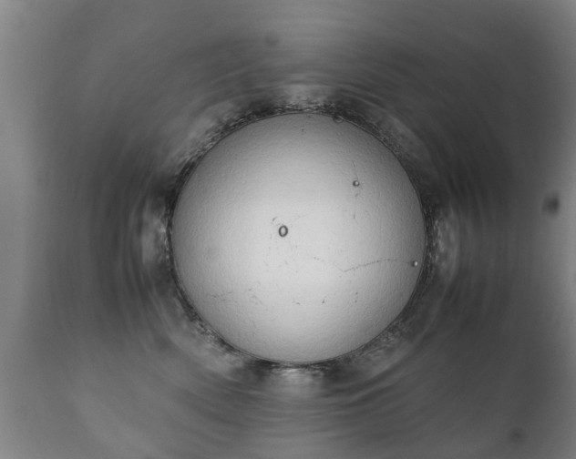 X0000112410522200908211125
