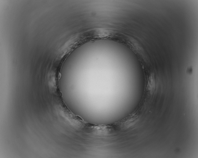 X0000112410524200908211125