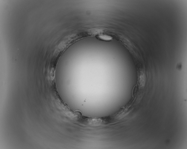 X0000112410525200908211125