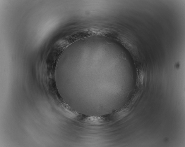 X0000112410526200908211125