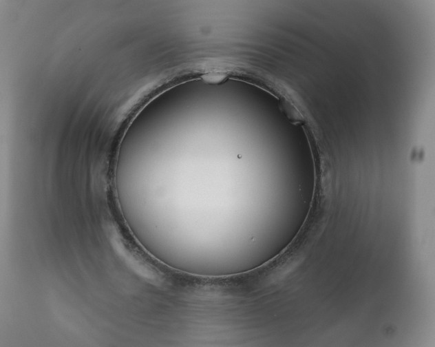 X0000112410530200908211124