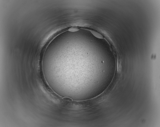 X0000112410531200908211124