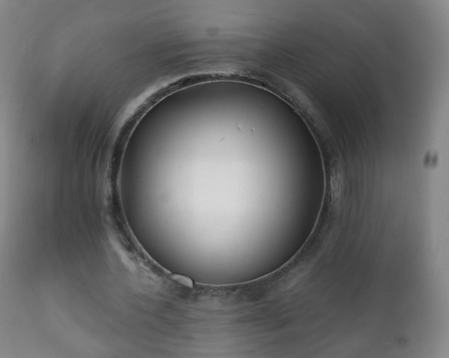 X0000112410532200908211124