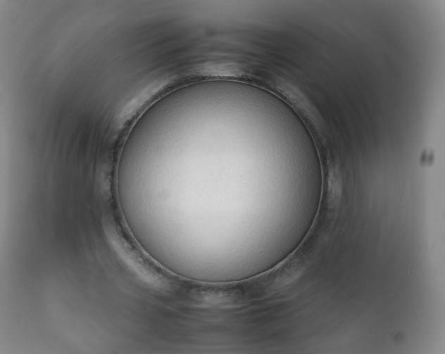 X0000112410533200908211124