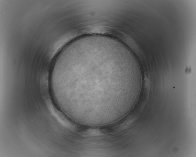 X0000112410534200908211124