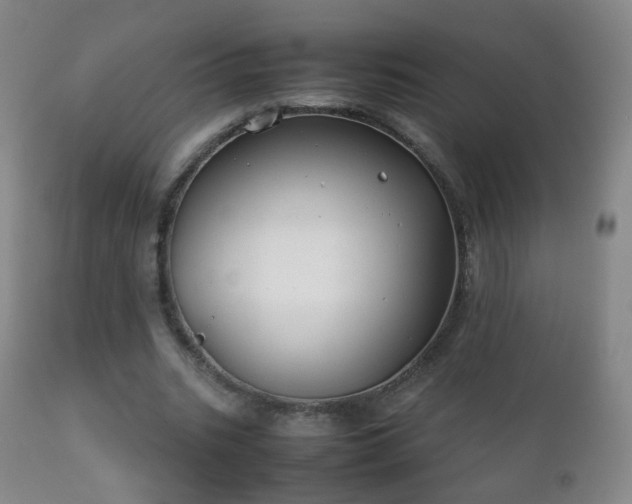 X0000112410535200908211124