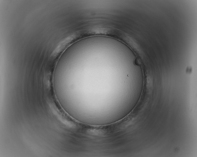 X0000112410537200908211124