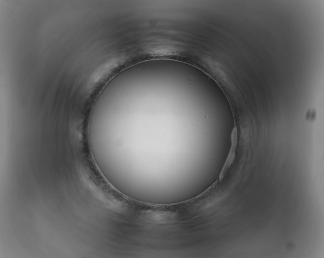 X0000112410539200908211124