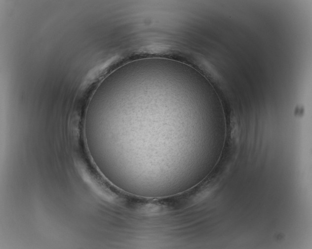 X0000112410542200908211124