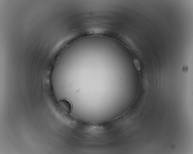 X0000112410543200908211124