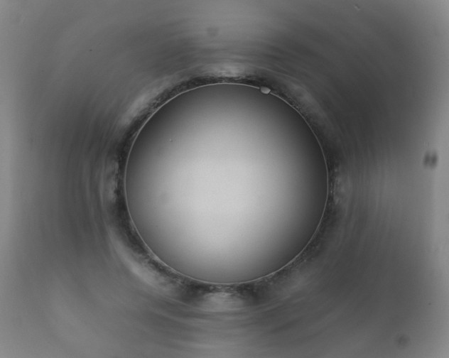 X0000112410544200908211124