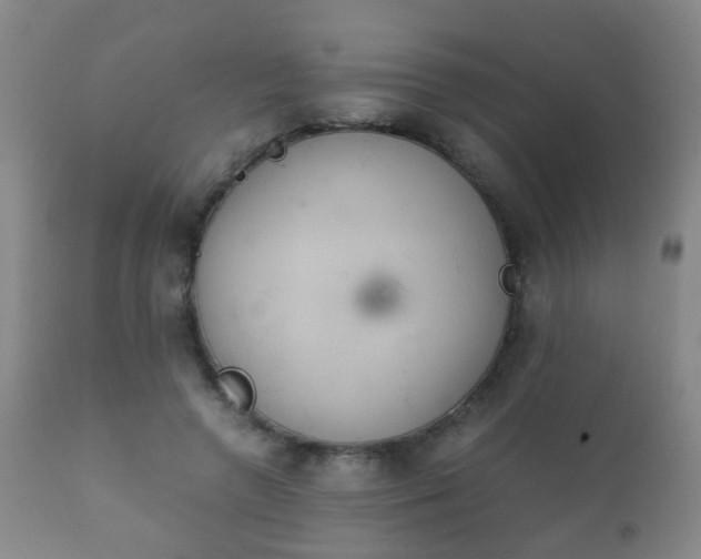 X0000112410546200908211124