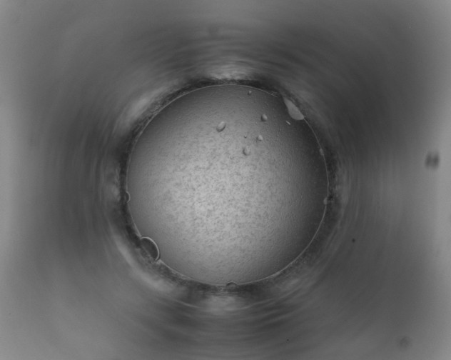 X0000112410547200908211124