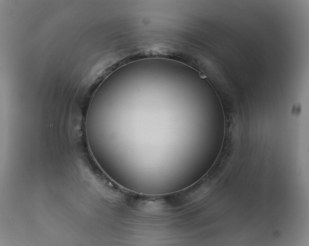 X0000112410548200908211124