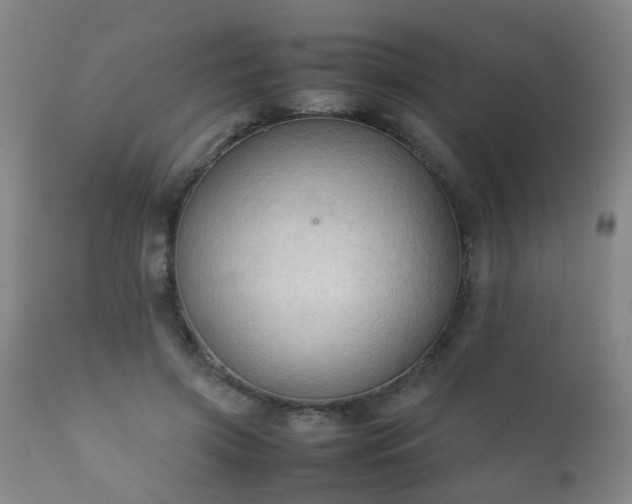 X0000112410549200908211124