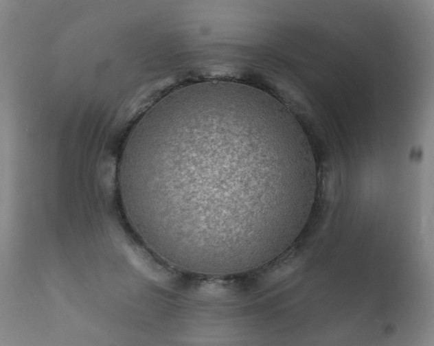 X0000112410550200908211124