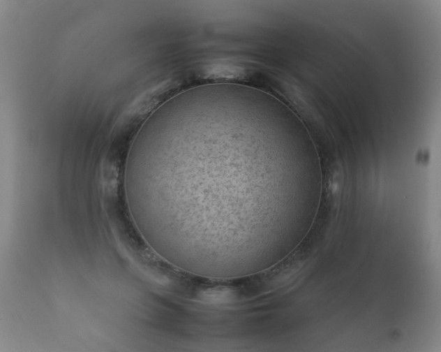 X0000112410551200908211124