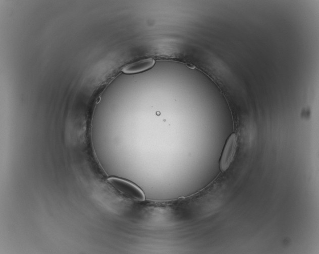 X0000112410552200908211124