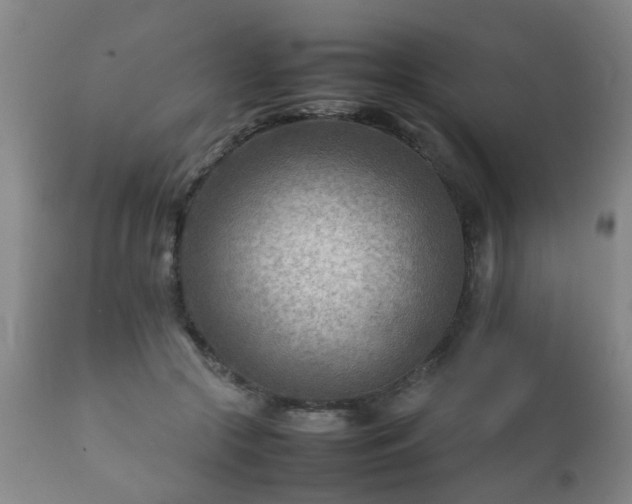 X0000112410553200908211124