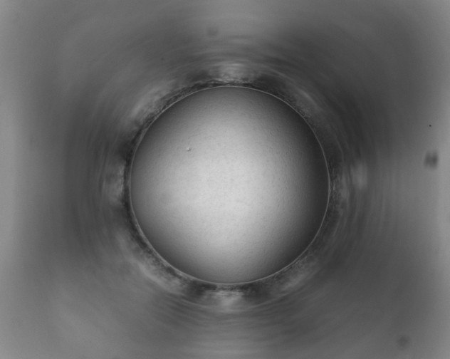X0000112410554200908211124