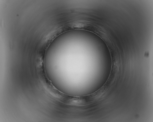 X0000112410555200908211124