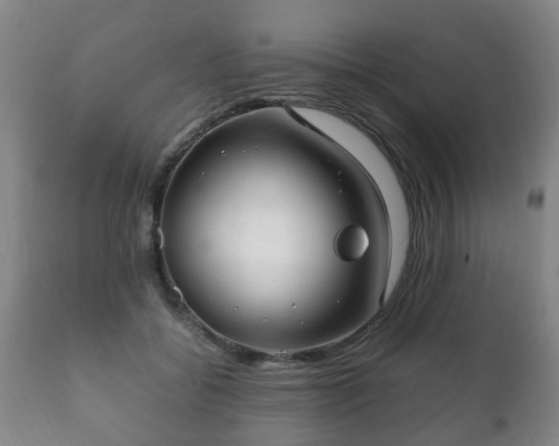 X0000112410556200908211124