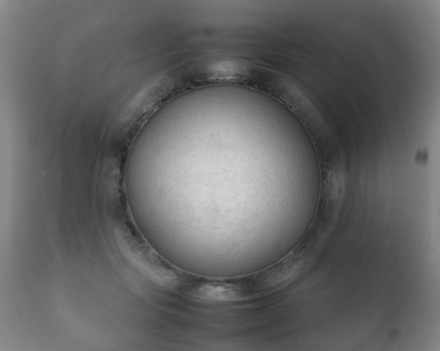 X0000112410557200908211124
